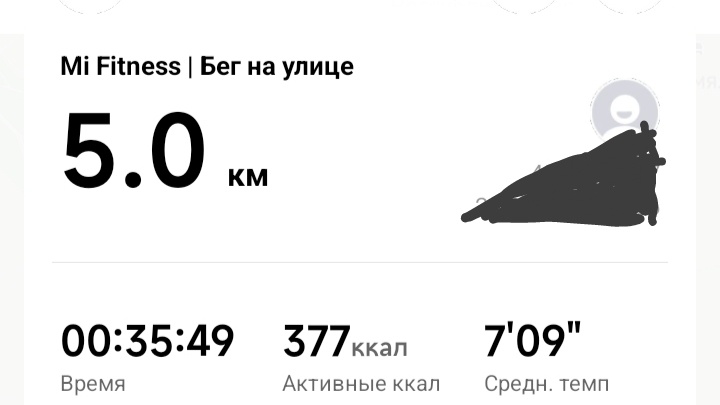 Неплохой забег, спасибо Панангину