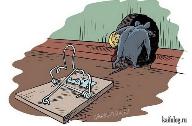 Яндекс картинки