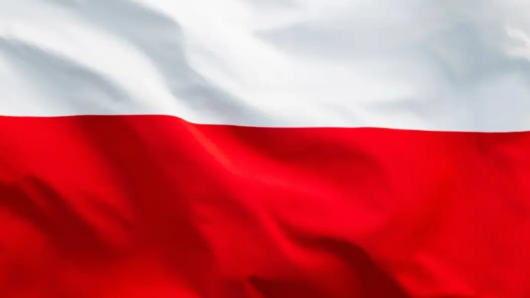    Фото: hxdbzxy/shutterstock