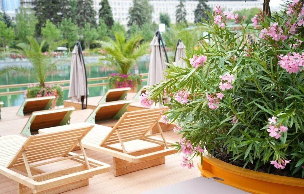     Зона пляжного отдыха Пионерский пруд     
Фото: mos.ru