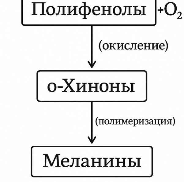 Схему реакции