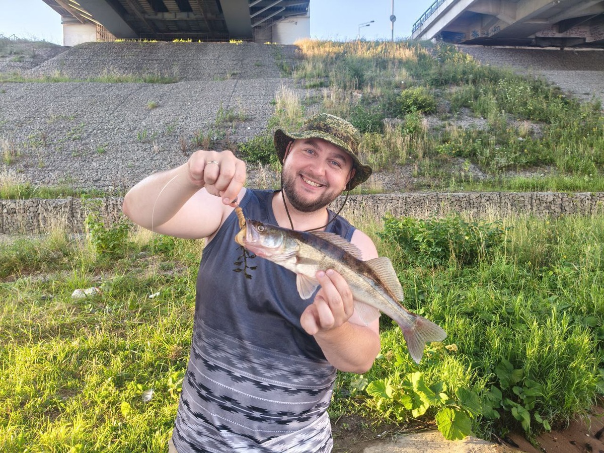 Берш и судак стали наградой за продуктивные трудовые будни. Сегодня работали рачки