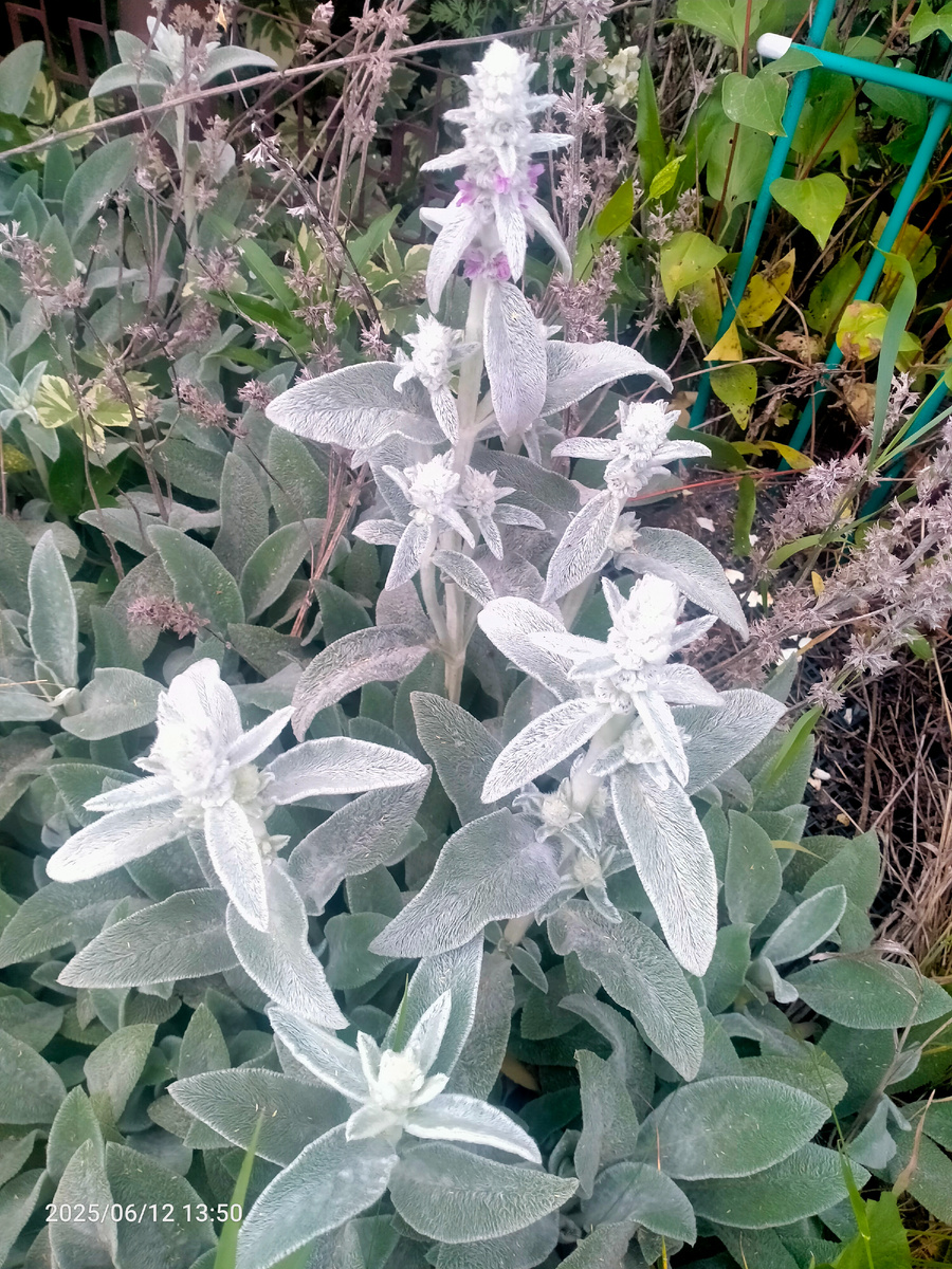 Фотография автора 