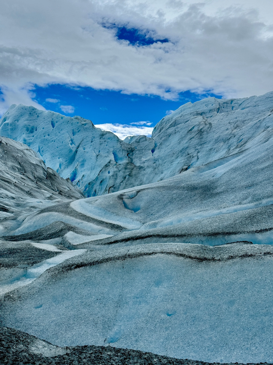 Красавчик ледник 