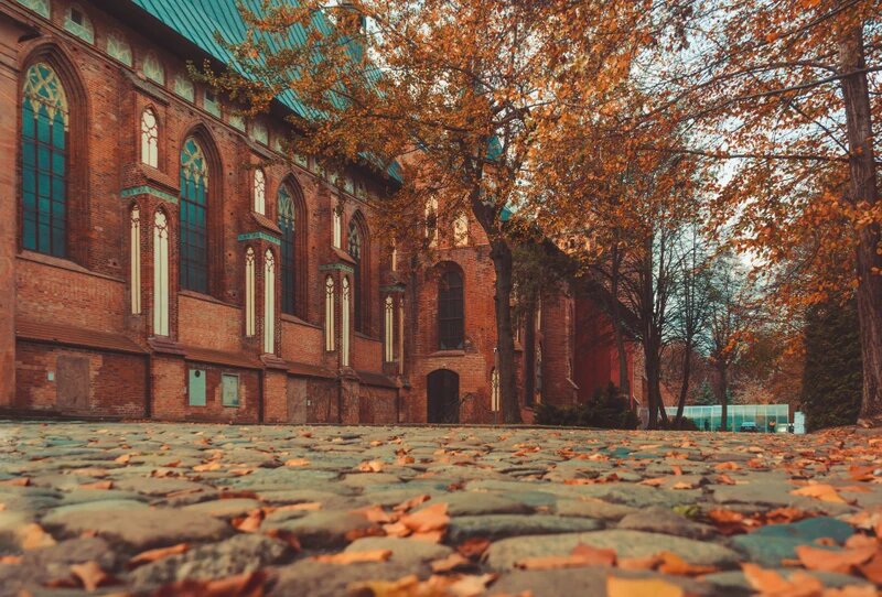 Источник: фотосток Трипстер