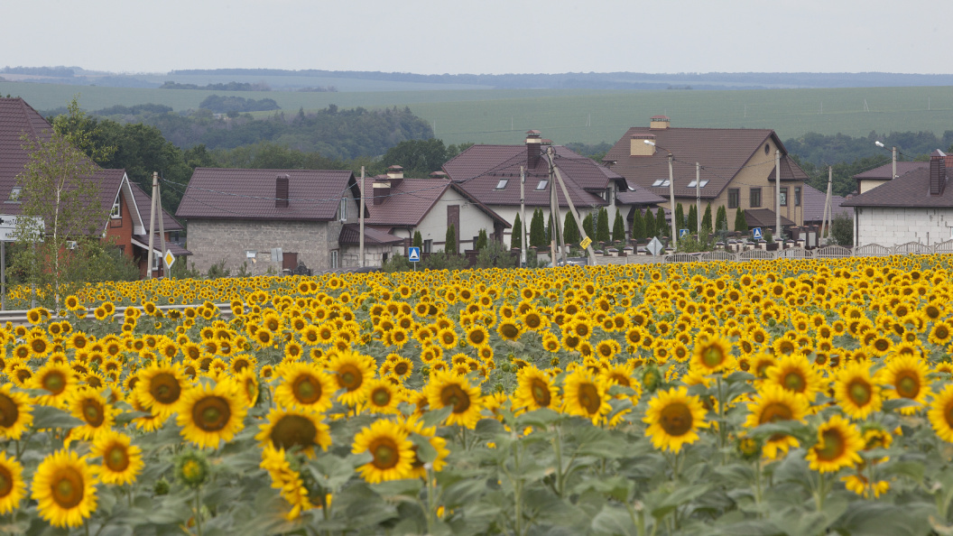    Фото: Nikolay Gyngazov, Николай/Globallookpress