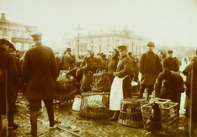    Птичий рынок на Трубной площади, начало ХХ века Фото: общественное достояние