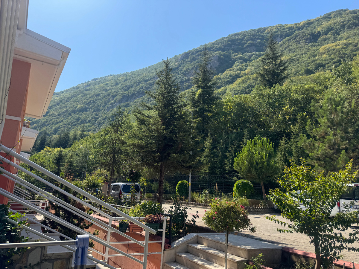 Только 10 утра, а уже жарит ☀️