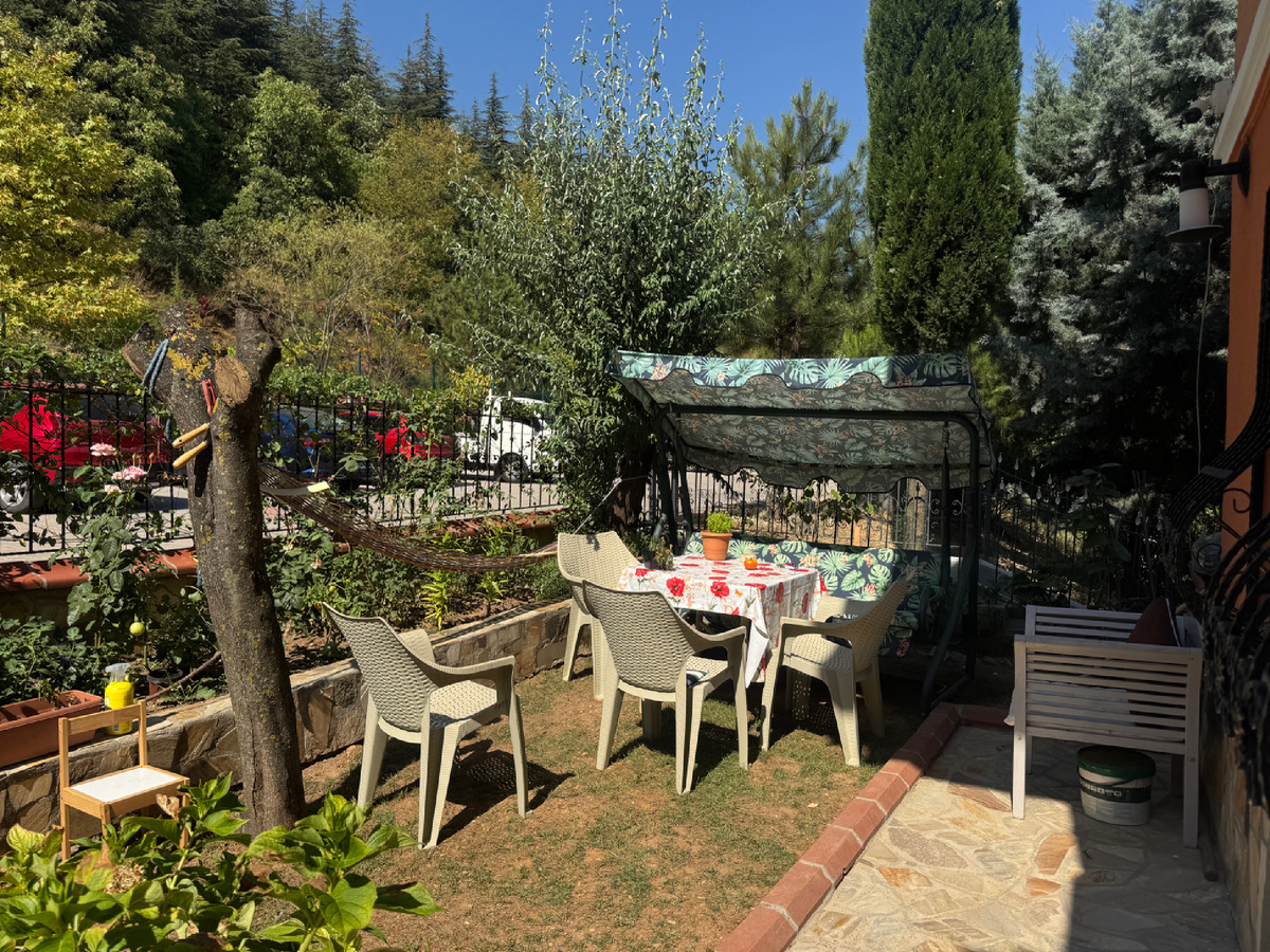 Бахче уже в летнем режиме