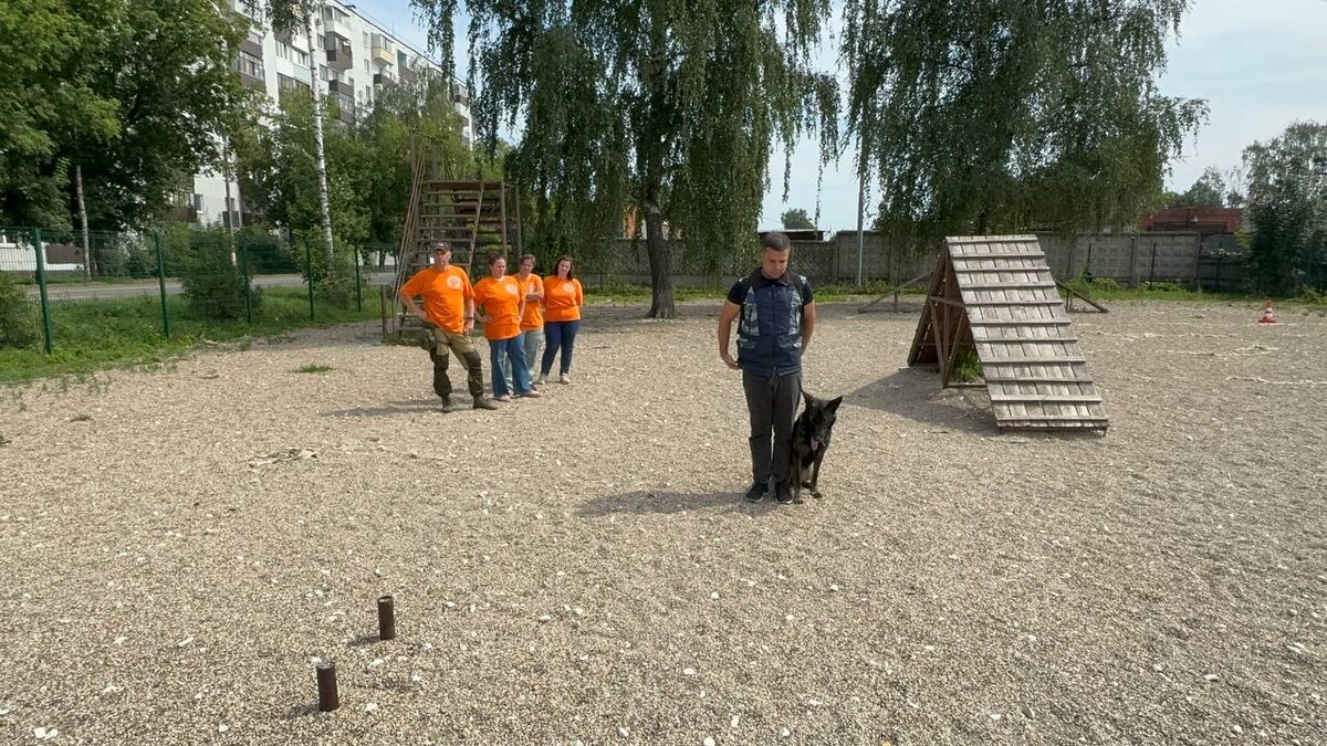 Участник с немецкой овчаркой выполняет упражнение на выдержку на испытаниях по ОКД. Команда волонтёров DogSelf на заднем плане наблюдает за процессом.