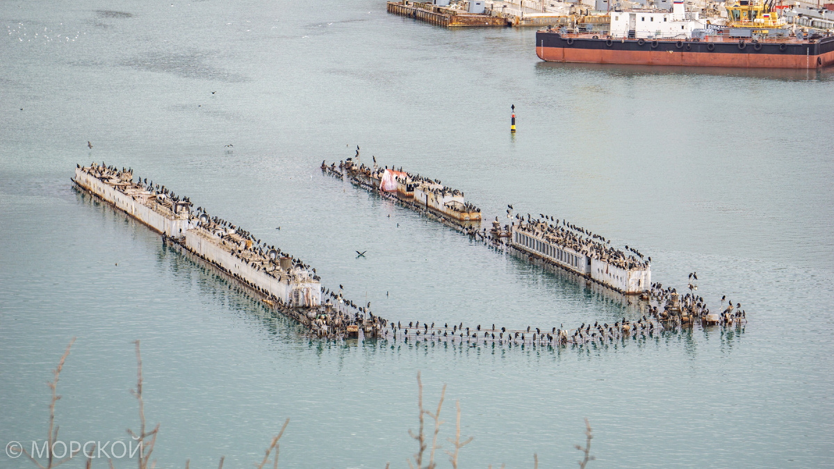 Пару лет назад ПД-16 выглядел так. 