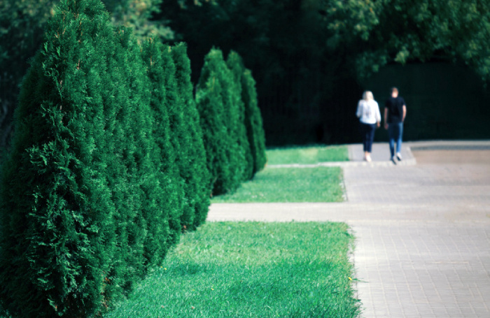    Андрей Журавлев / Фотобанк Лори