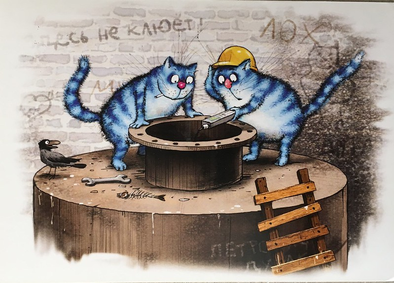 очаровательные коты Рины Зенюк