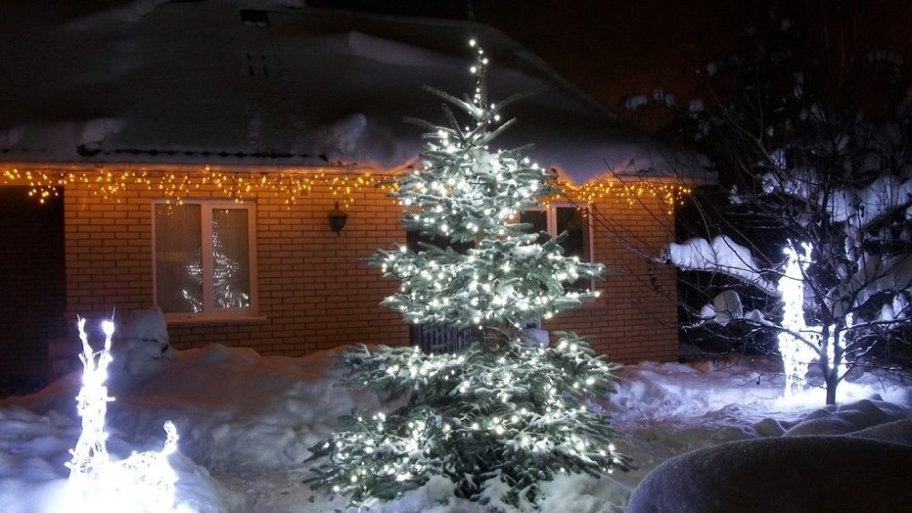 елка у дома