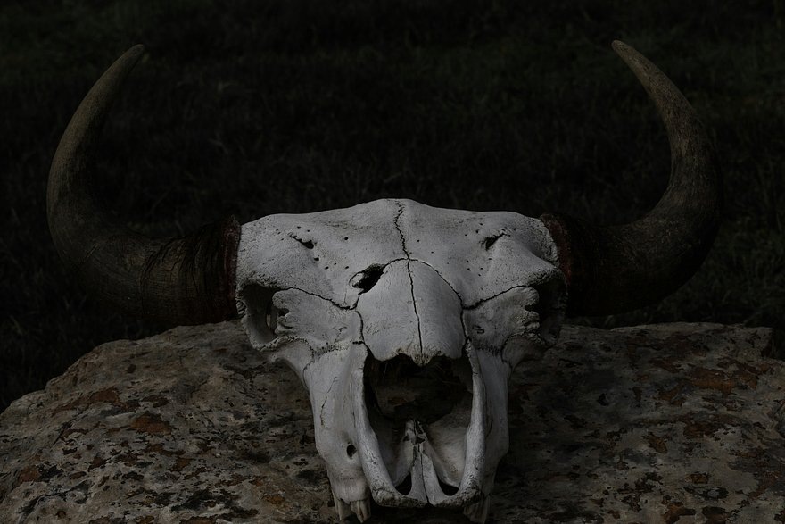    Фото: Artak Petrosyan / Unsplash