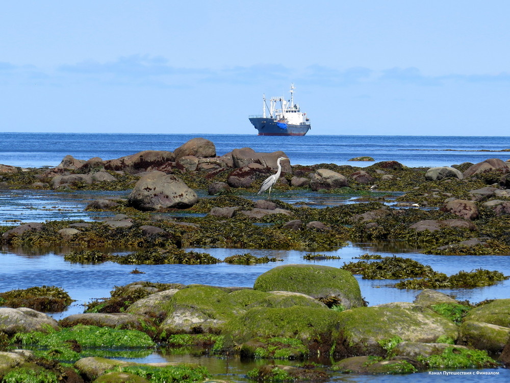 Устье Курилки в отлив