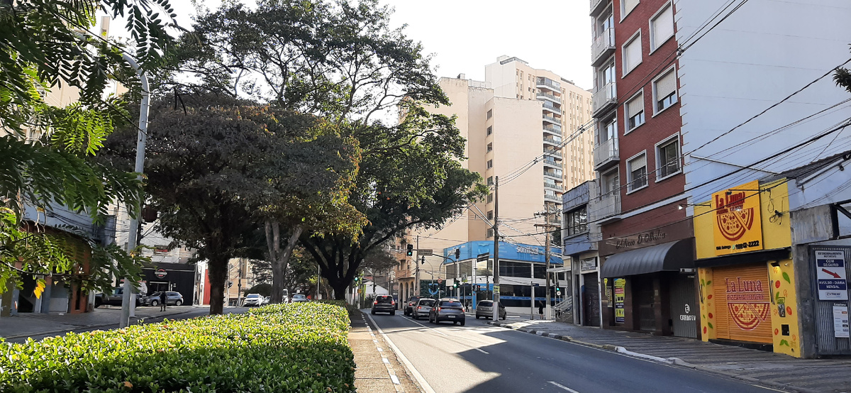 Бразилия, город Кампинас (штат Сан-Паулу)