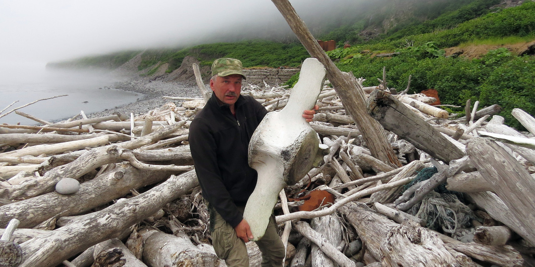 Кто забросал мячиками курильские берега