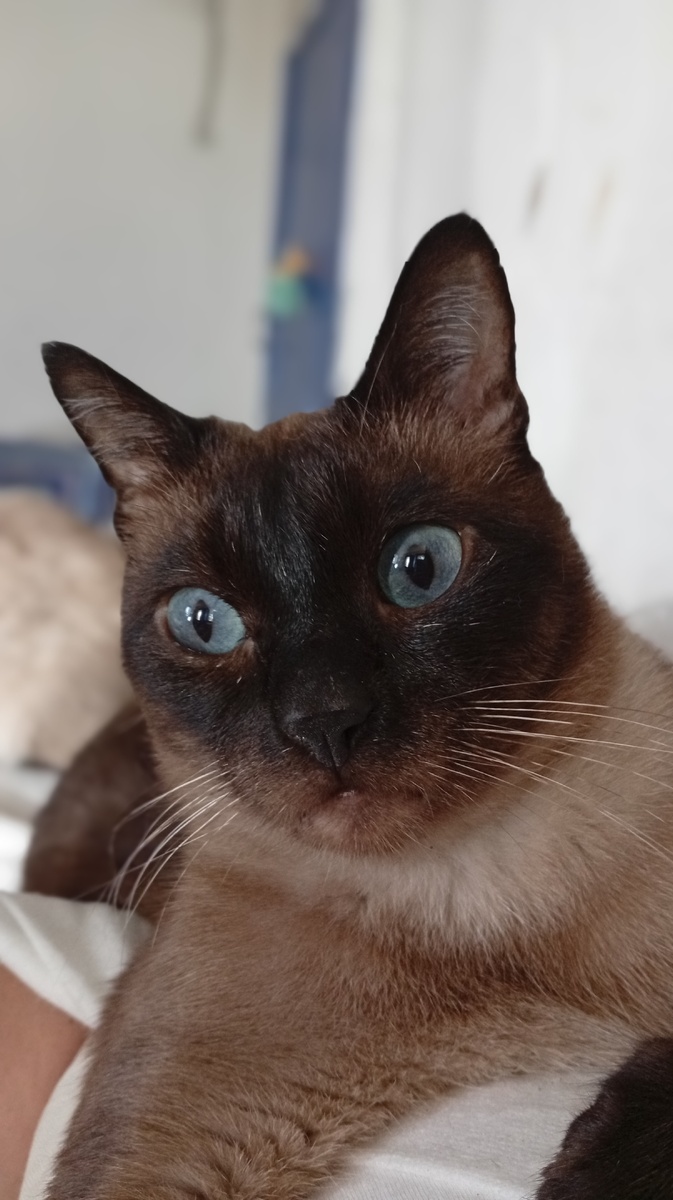 Фото из личного архива