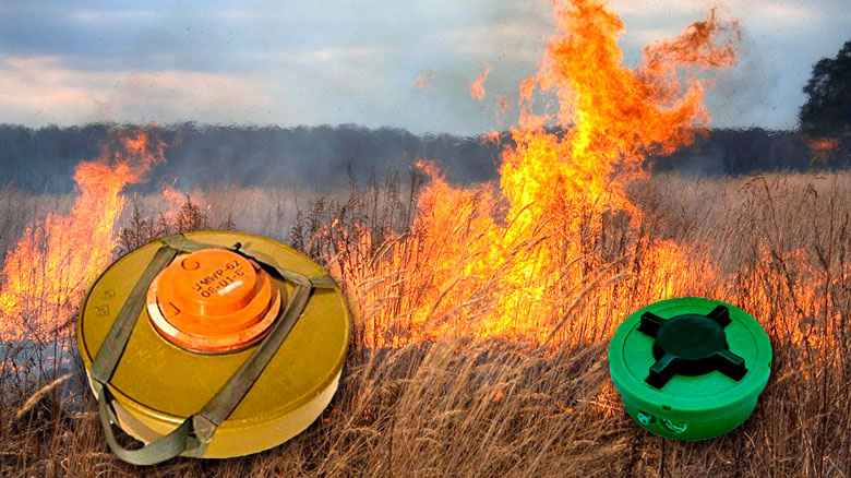 Разминирование палом