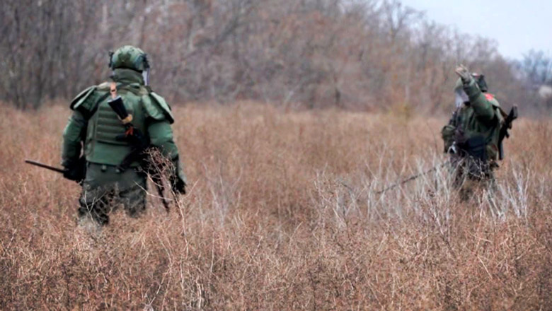 Густая высокая трава – ужасные условия для поиска ВОП. Если сухо, следует рассмотреть вариант с выжиганием участка... (фото из открытых источников)
