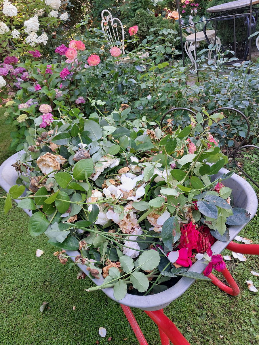 Одна тачка из четырех за один день