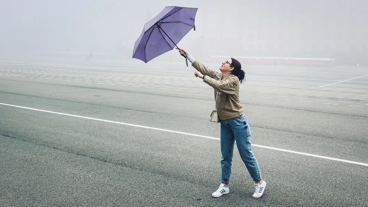     Источник: 1MI