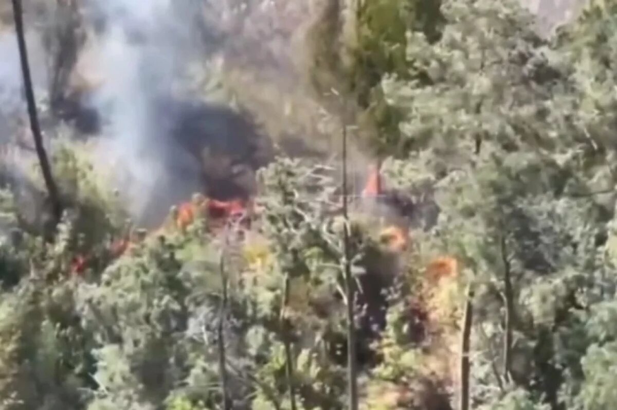    Литовкин объяснил, как отключение Starlink скажется на ходе СВО