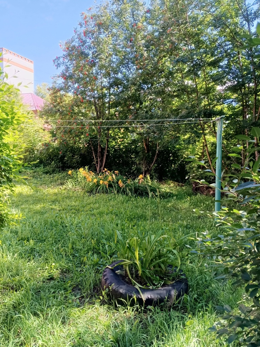 Пока газель ждали, сфотографировала верёвки для белья. Когда-то на них я ползунки сушила)