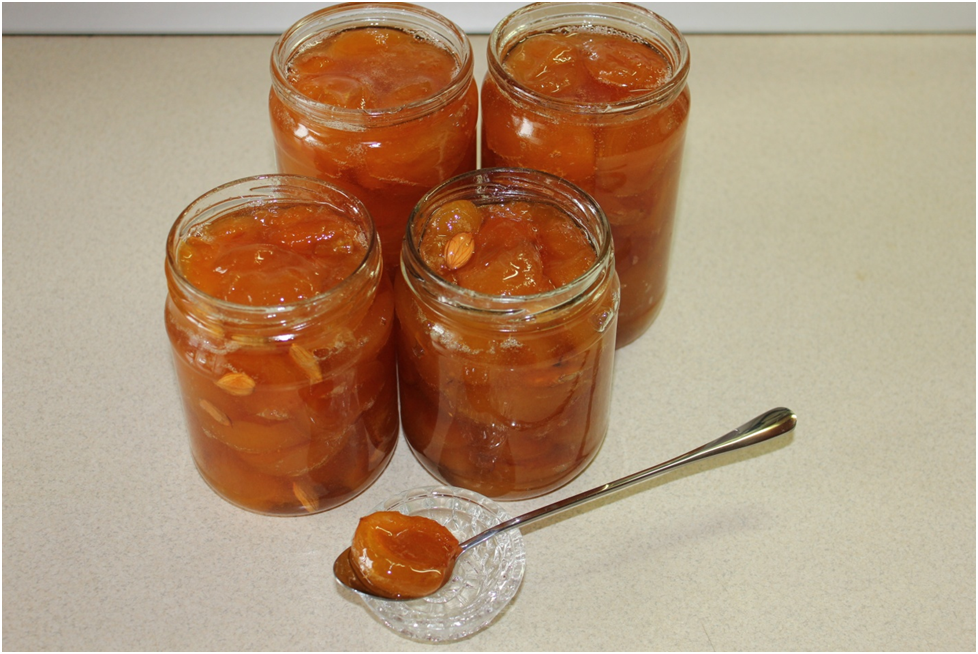 Личное фото автора.