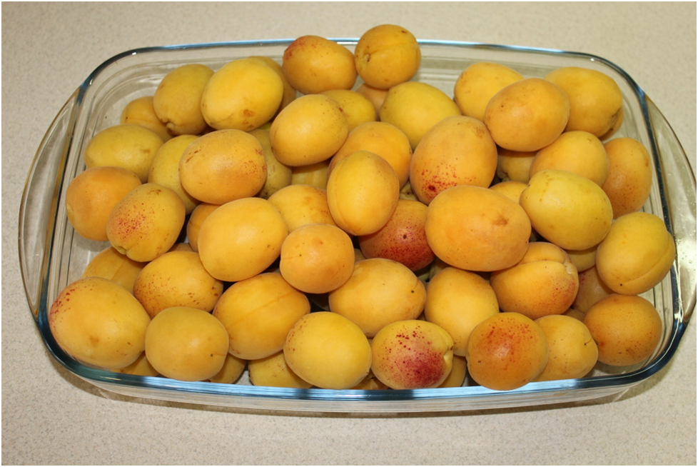 Личное фото автора.