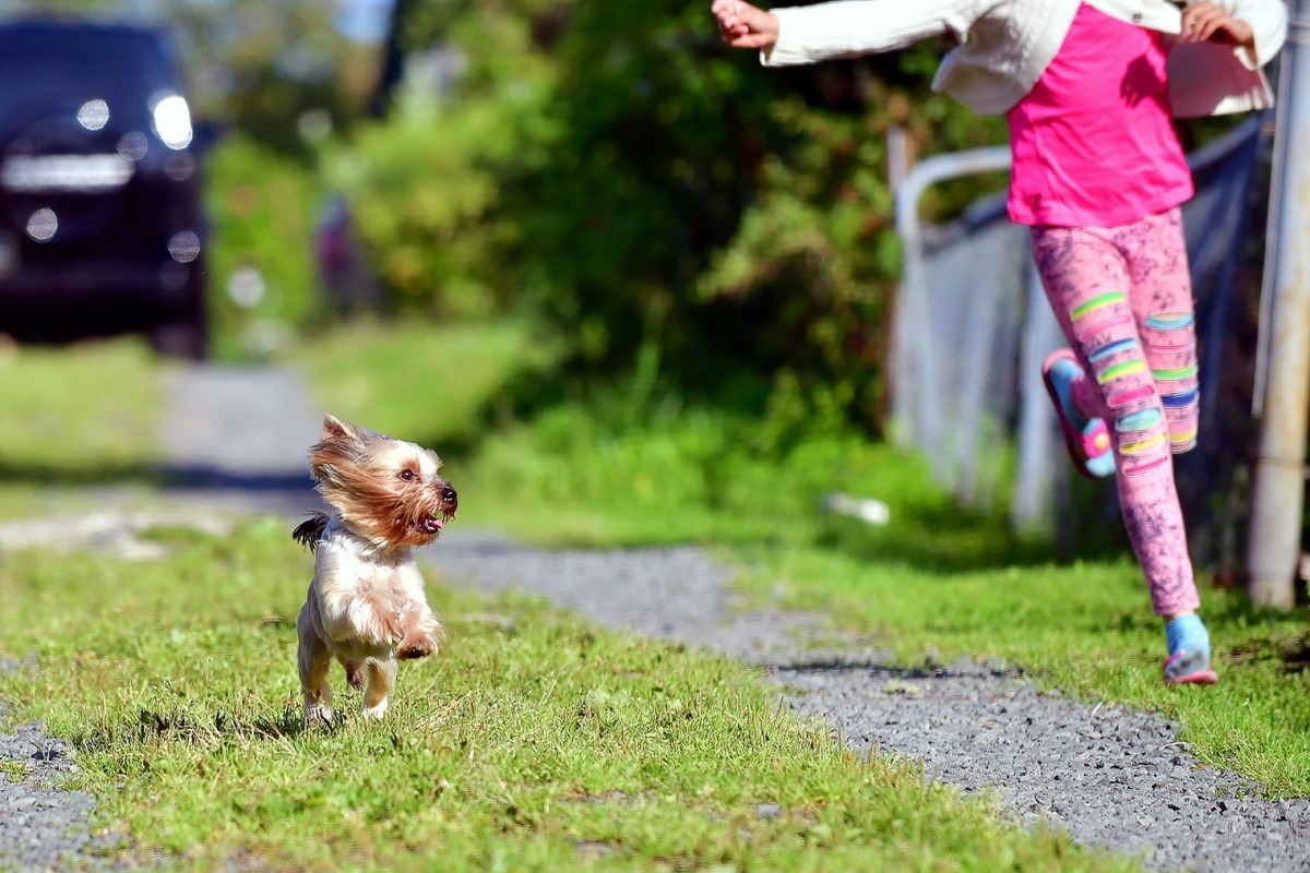    Фото: "Республика" / Сергей Юдин