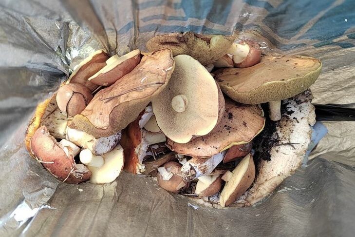    Фото прислано читателем VN.ru