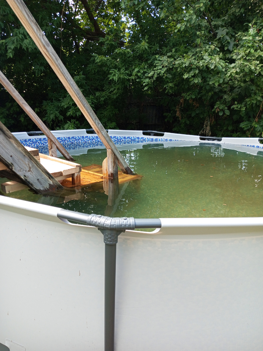 Вот такой бассейн, на дне водоросли.