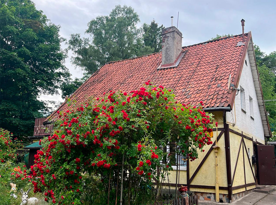 Калининградская область готовится к выходным под влиянием южной воздушной массы.  Фото: Фото: ФедералПресс / Анна Крючкова