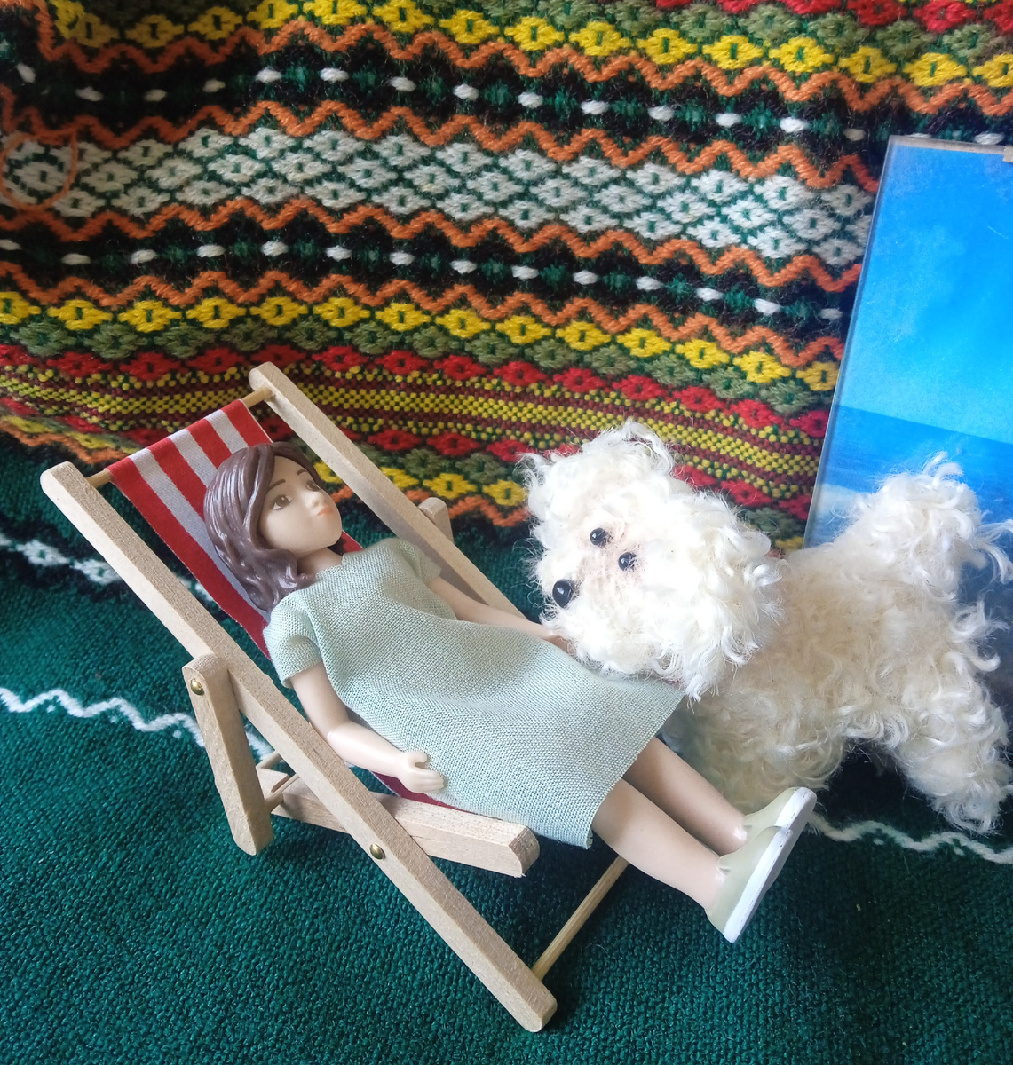 Чипита просится гулять. Фото автора.