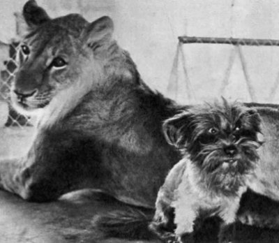 Фото из интернета.