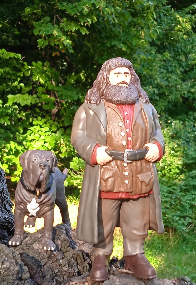 Хагрид и Клык гуляют в лесу