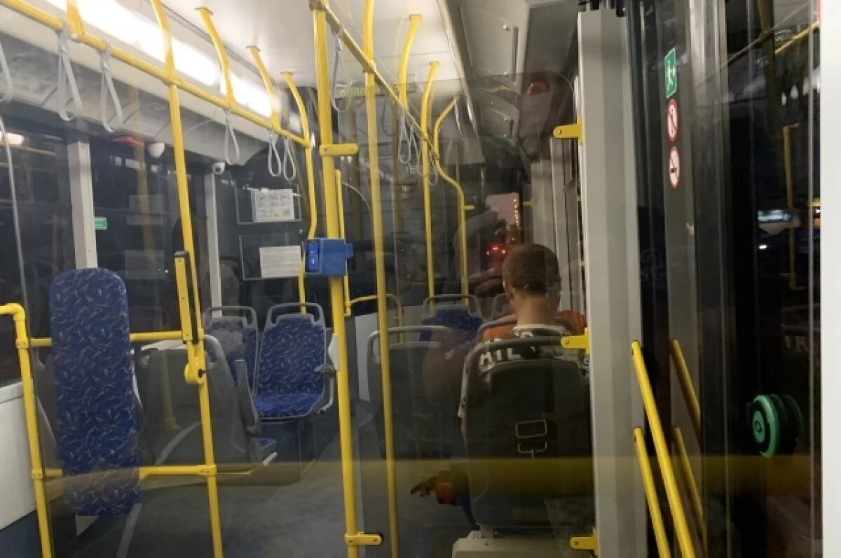    В сети появилось фото электробуса, который едет в Омск