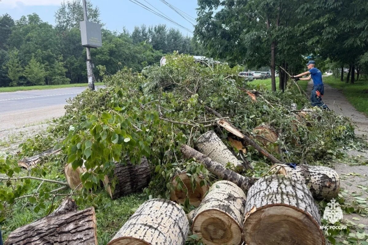    В Хабаровске продолжают ликвидировать последствия урагана