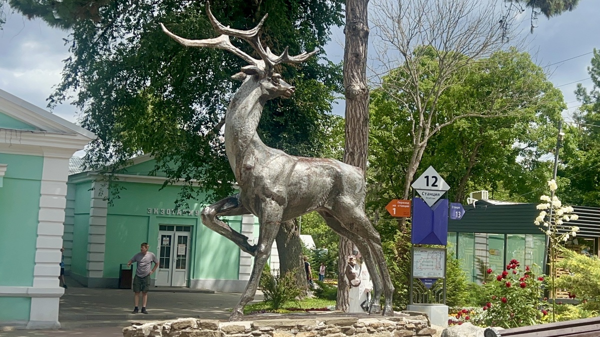 Все фото в статье авторские. Копирование запрещено