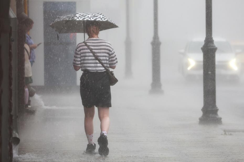    Алексей Белкин/NEWS.ru