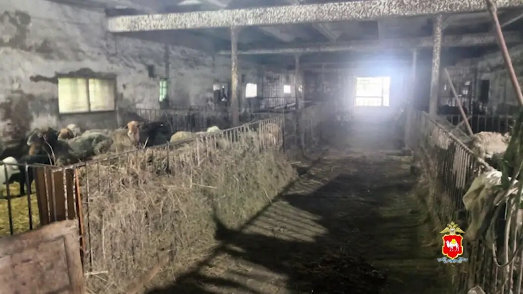    Скриншот видео ГУ МВД по Челябинской области.