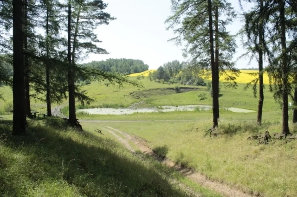    Особо охраняемая природная территория регионального значения — памятник природы «Урочище «Каменный холм».