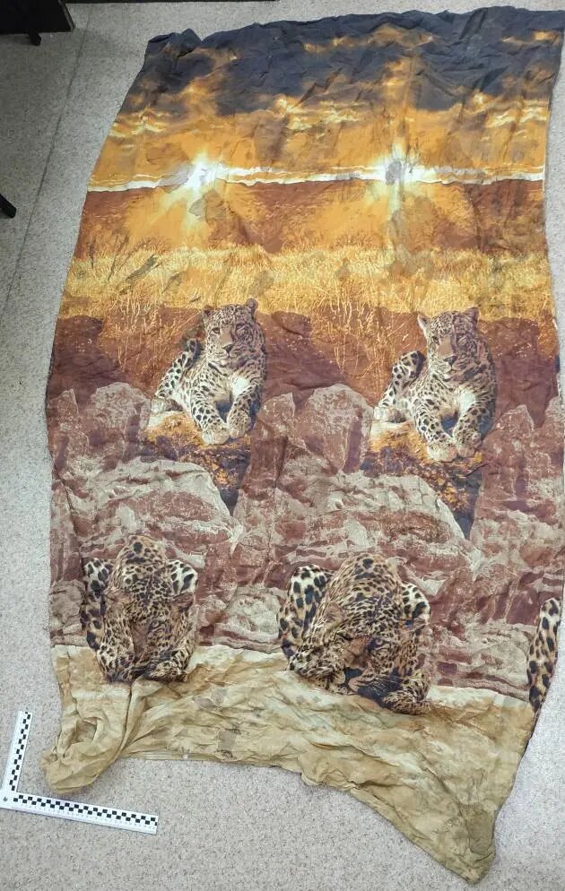    Пододеяльник, в который завернули мертвого ребенка. Фото: СУ СК по Камчатскому краю