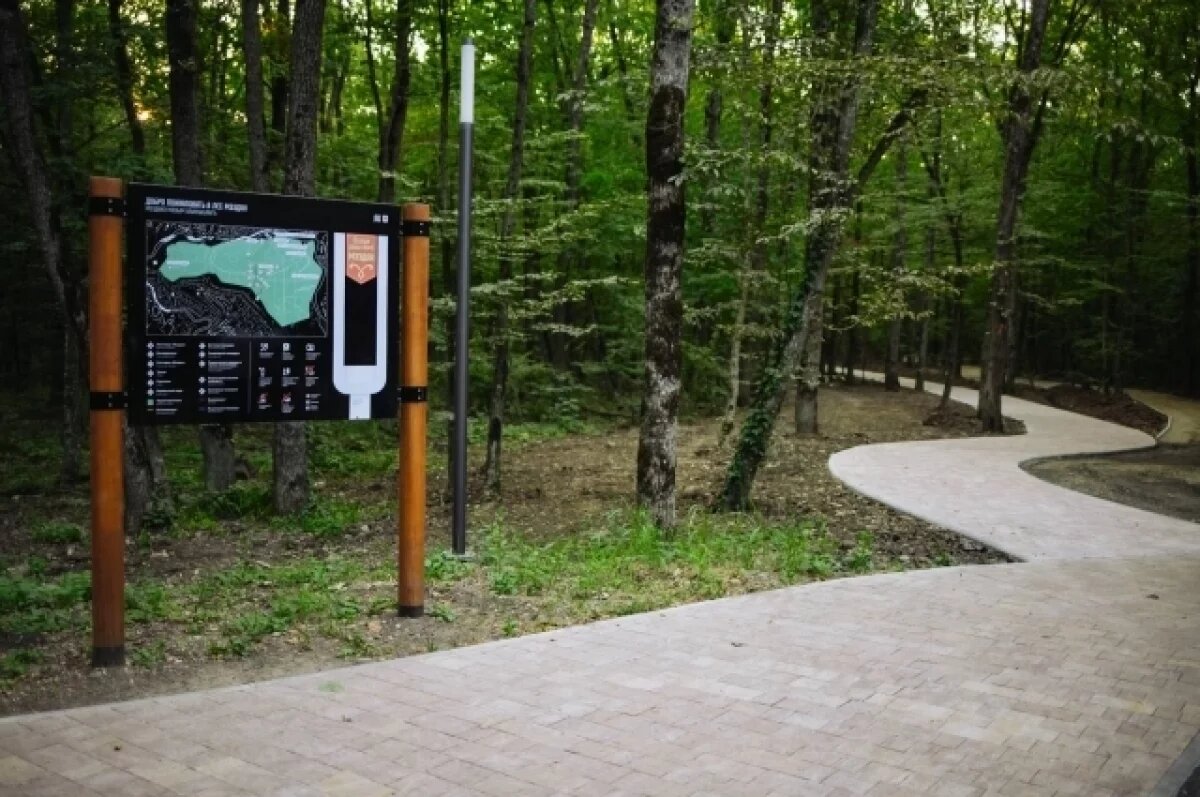    В зоне отдыха Мэздах обустроят набережную у прудов и прогулочные зоны