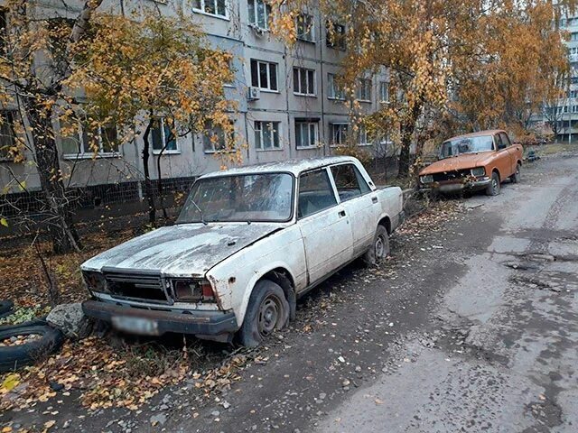 Фото заимствовано - https://mogilevnews.by/news/19-11-2019-17-24/60919