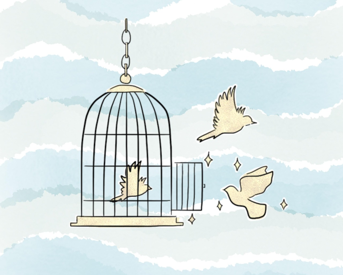 Иллюстрация с Pixabay