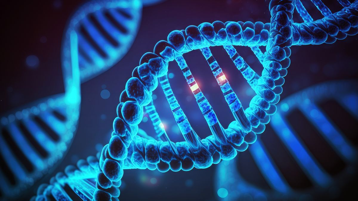 картинка из интернета