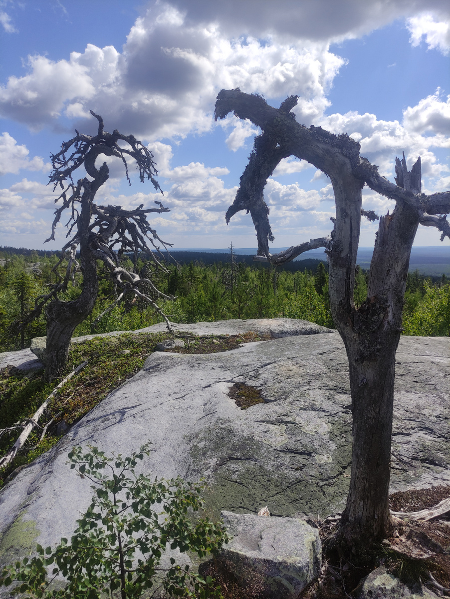 Гора Воттоваара. 